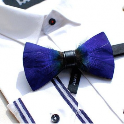 Bow-SelecTie Royal Blue Feather Bow Tie