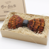 Bow-SelecTie Brown, Orange, & Yellow Feather Bow Tie