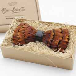 Bow-SelecTie Brown, Orange, & Yellow Feather Bow Tie