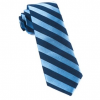 Italy Direct Shop Men's Lumber Light Blue Stripe Necktie